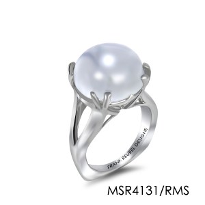 MSR4131-RMS-WEBSITE7